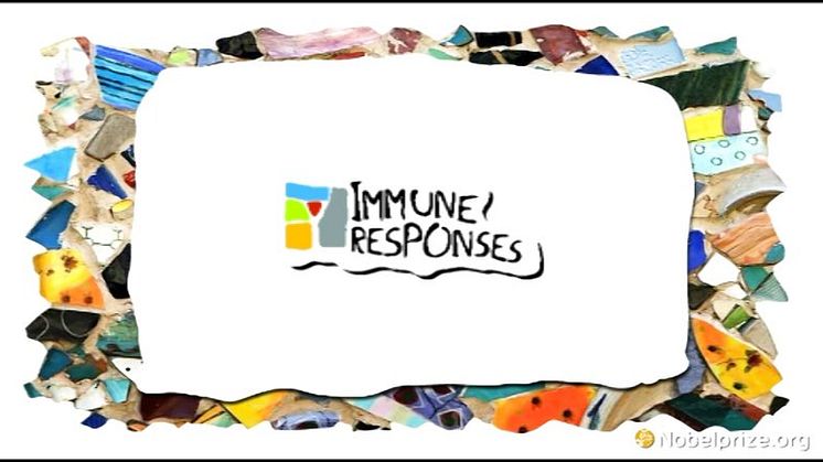 1-minute informational video about Immune Responses