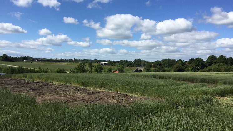 Det nye bæredygtige byggeri, skal opføres ca. 300 m. syd for daginstitutionen Kronhjorten ved Støvring Ådale. Det forventes at stå færdigt ultimo 2018.