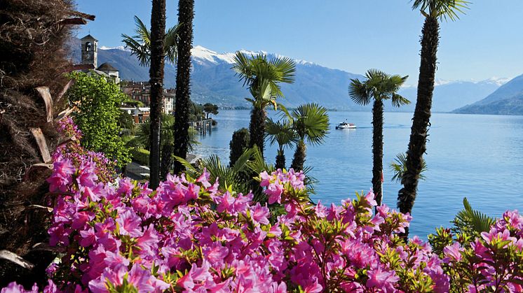 Ronco sopra Ascona © Schweiz Tourismus/ Christof Sonderegger