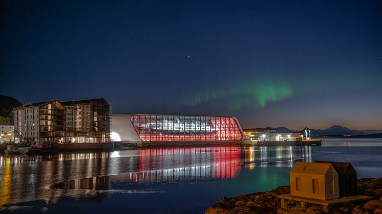 Foto Bjørn Eide
