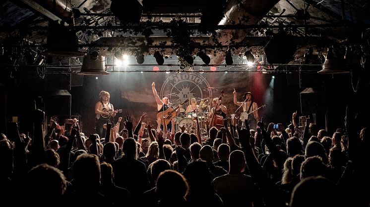Steve 'n' Seagulls live 2021