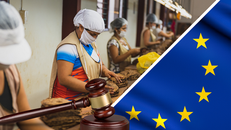 Europaparlamentet skickar dubbla signaler till människor som drabbats av företags kränkningar av mänskliga rättigheter