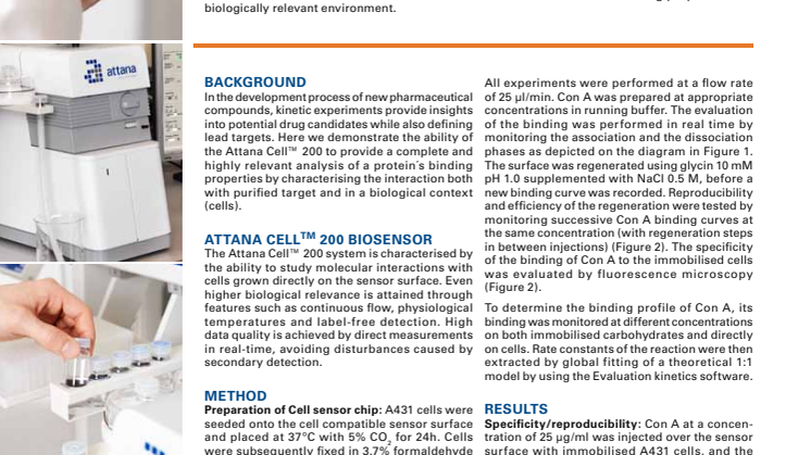 Characterisation of complex lectin-cell kinetics    (Attana Application Example)