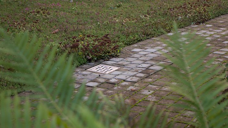 BLÜCHER terrassbrunn