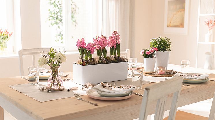 Frühling zu Besuch