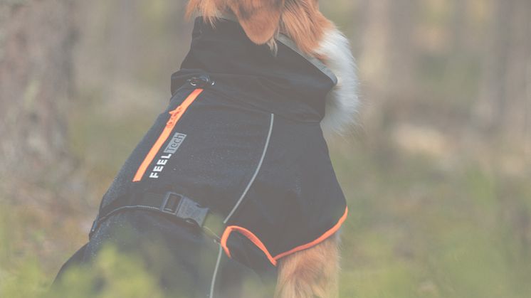 Feel_Tech_Kiruna_raincoat_lifestyle_back