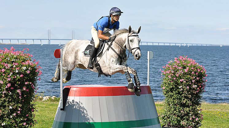 Malmö City Horse Show bjuder in till presskonferens inför helgens fälttävlan
