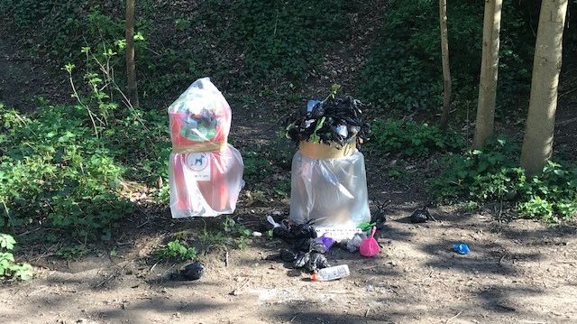 ​Health risks force council to unseal dog waste bins