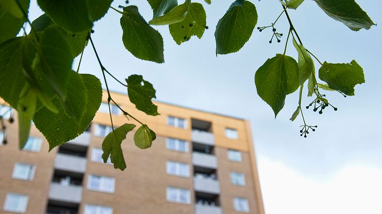 Premiär för Grannsamverkan på AB Bostäder!