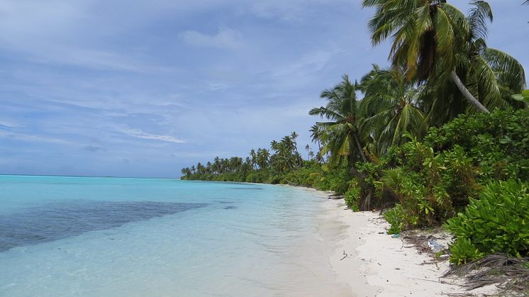 Mainadhoo island, one of the islands included in the study (Photo credit: Holly East)