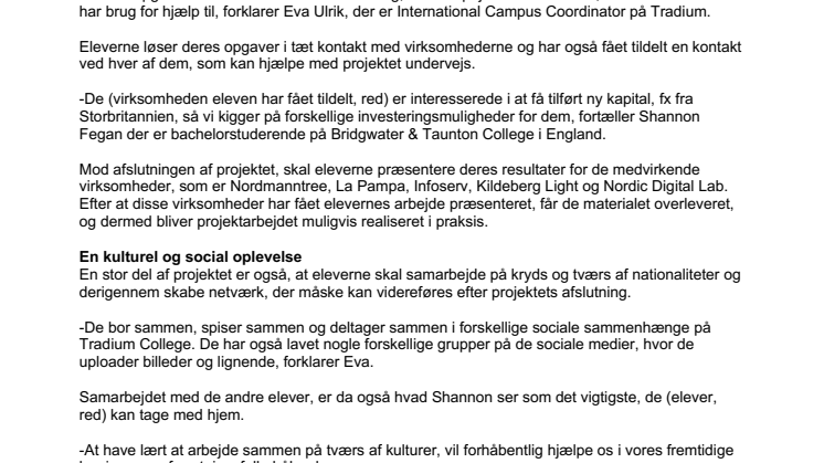 Forretningsudvikling og kulturudveksling i praksis