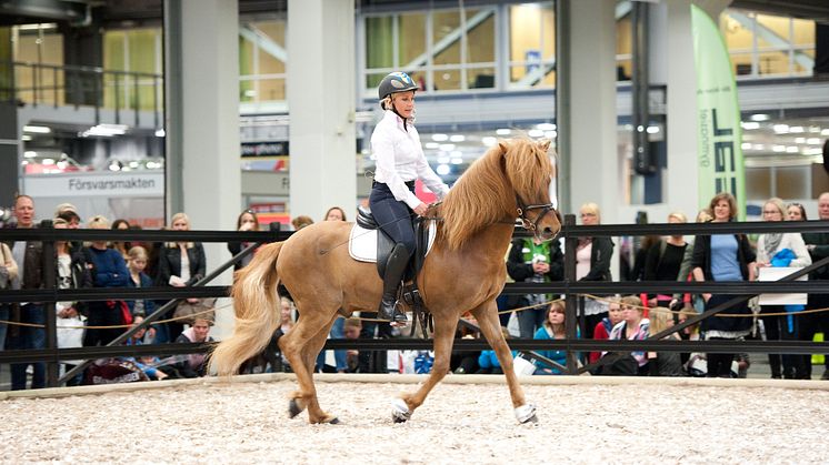 EuroHorse 2013