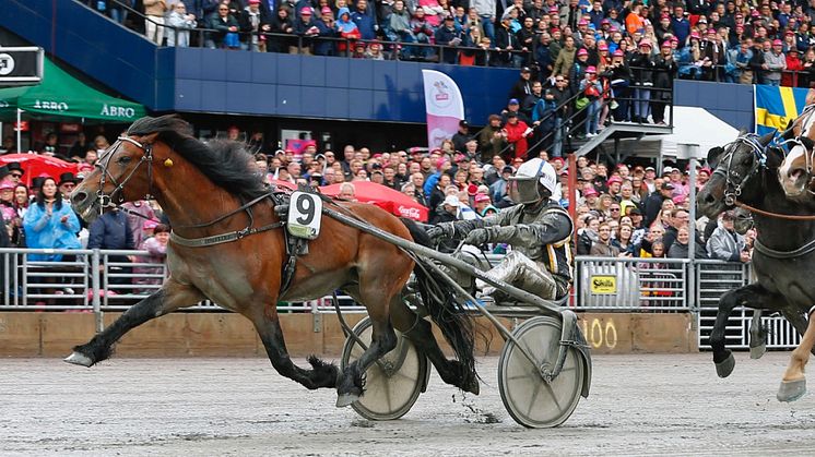 Tangen Haap vinner Elitkampen 2019. Foto: TR Bild