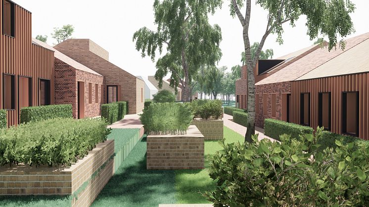 Degnejorden_LINK Arkitektur