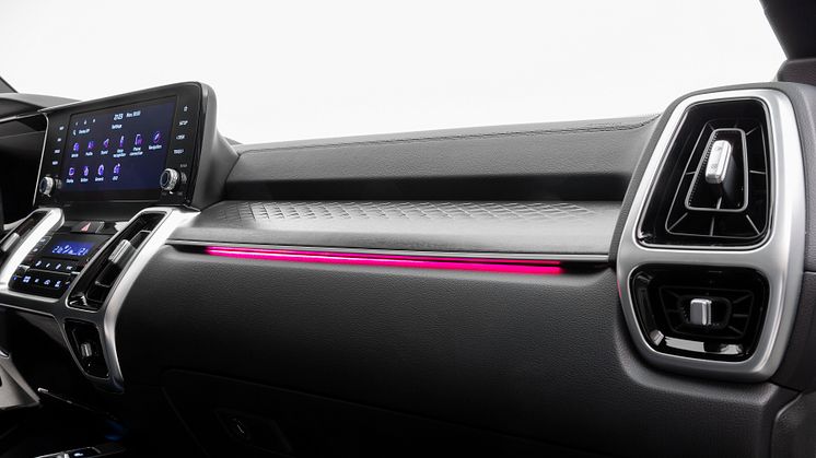 Kia Sorento_panellight
