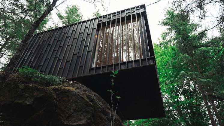 Hyssna Forest Resort - Treetop Cabin Foto_ Hyssna Forest Resort 12.jpg