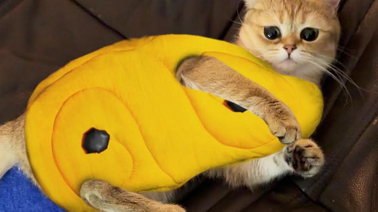 Klara_Lussekatt_Montagebild