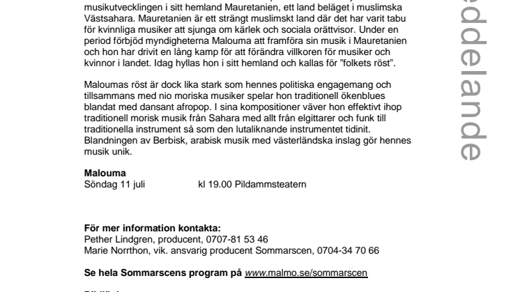 Politisk ökenblues på Pildammsteatern