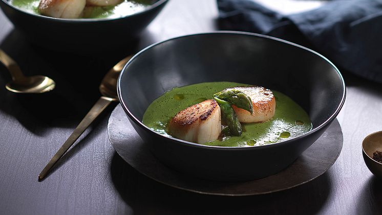Kamskjell med grønn ertesuppe og asparges Kai Øveraasen web