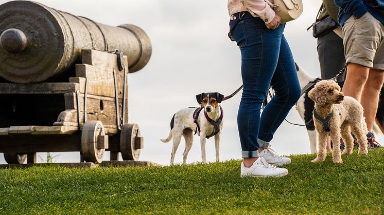 Kalmar Slott_utomhusguidning_hund