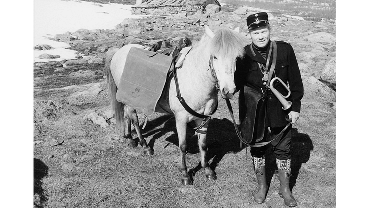 Hest og posthorn. Foto, Norsk Postmuseum.png