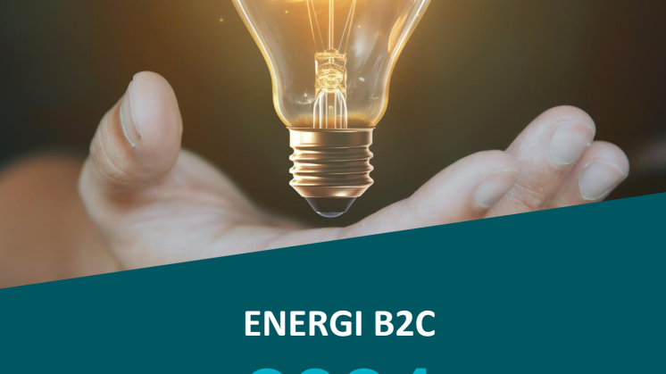 2024-11-18 EPSI Energi Privat 2024 - Minirapport og pressemateriale.pdf