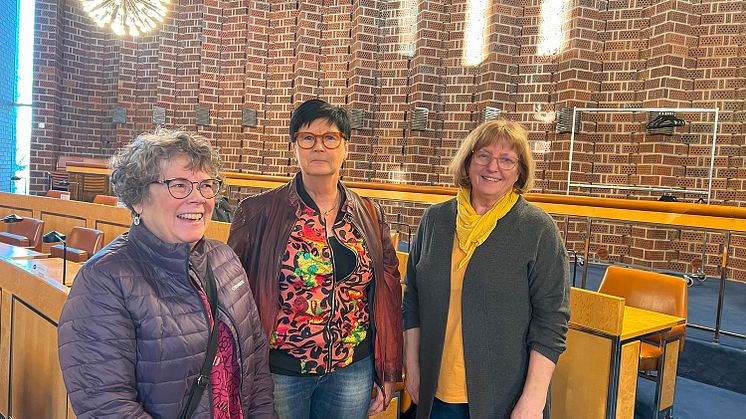 Maria Eriksdotter, ordförande, Neuroförbundet Piteå älvdal, Christina Eriksson, kassör, Parkinson Piteå och Siv Lundström, ordförande, Parkinson Piteå var alla nöjda med dagens workshop. 