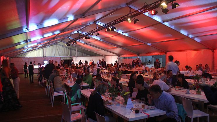Impressionen von der 2. Bärenherz Sommernacht: Ein Rückblick in Bildern