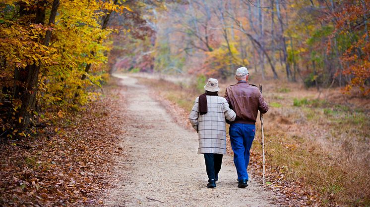 Fördelarna var störst när en person gick från att vara en soffpotatis till att börja med promenader. Foto: Pixabay. CC0