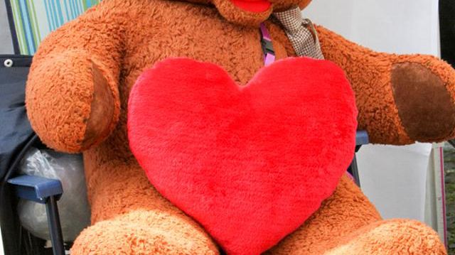 Halbjahresrückblick in Bildern: ehrenamtliche Aktionen und Einsätze am Bärenherz-Informationsstand