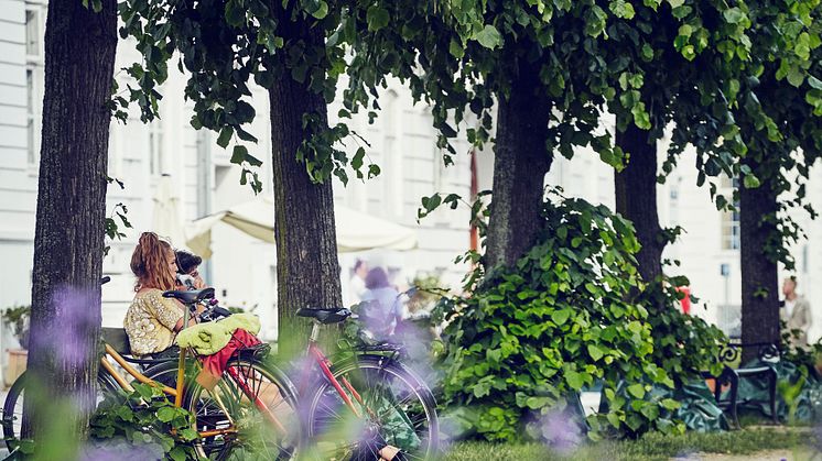 Independent research and analysis centre confirms: The Danish model for local government borrowing is strong