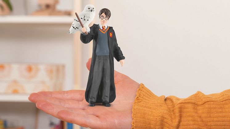 Wizarding World_Harry PotterTM