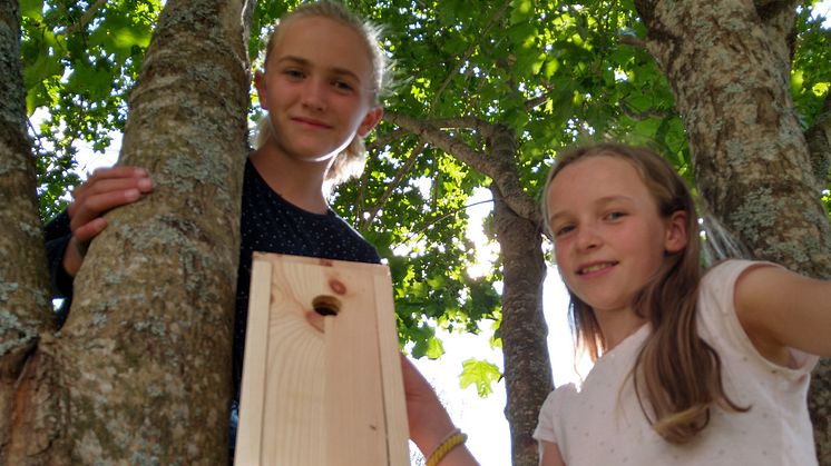 Miljøagentene Lotte Franke (12) og Inga Franke (11) har selv vært med på å bygge fuglekasser, og synes det er et morsomt og viktig arbeid.