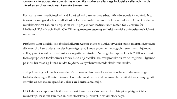 Ny teknik underlättar studier av hjärnceller vid stroke