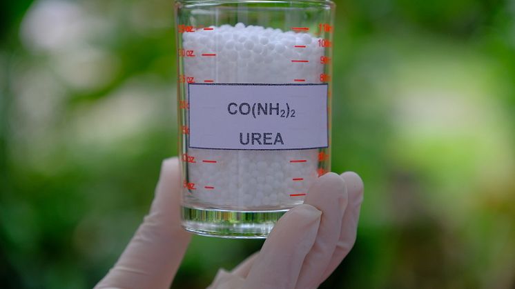 Ur överskottsgas från ståltillverkning ska det utvinnas urea på metallforskningsinstitutet Swerim.