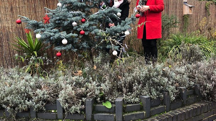 Living Christmas trees at Cricklewood