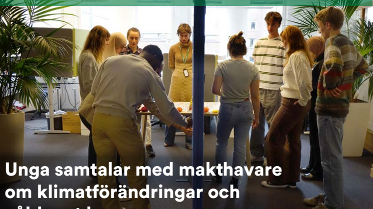 Berika rapport.pdf
