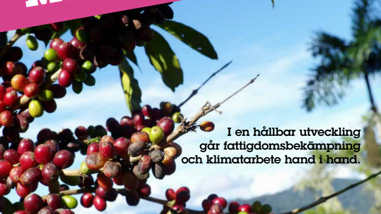 Fairtrade-rapporten 2015: ”Det börjar med Fairtrade