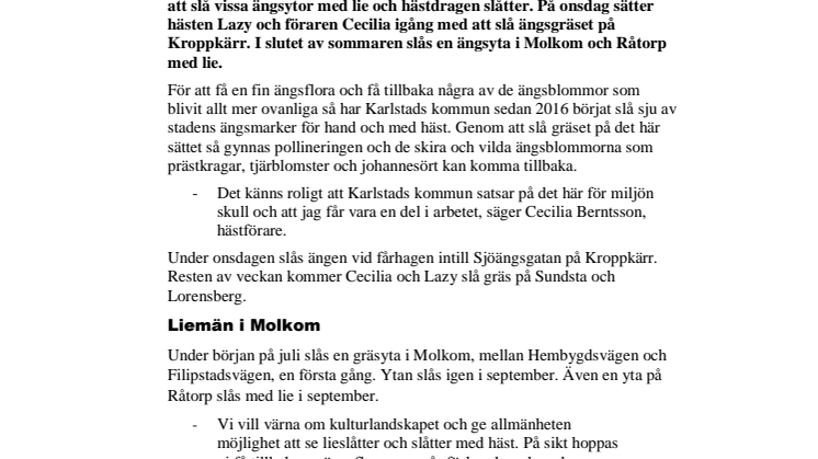 Lie och häst sköter miljövänligt ängsslåtter  