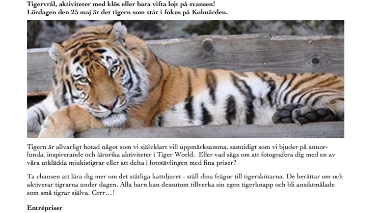 Evenemangstips - Tigerns dag på Kolmården