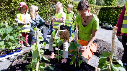 Insekter och småkryp! – Temat för ”Barnens trädgård” 2010