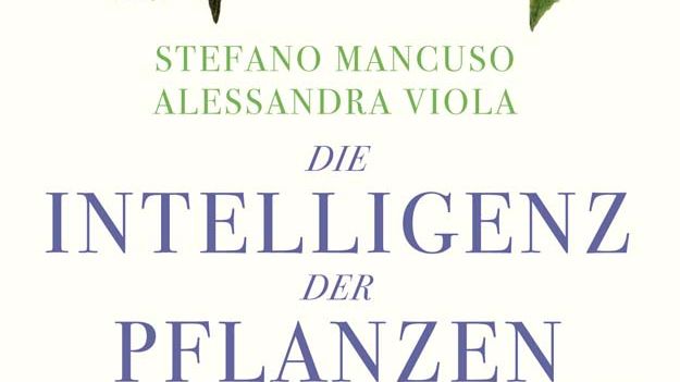 Die Intelligenz der Pflanzen