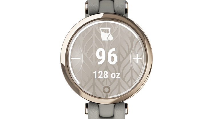 Garmin Lily