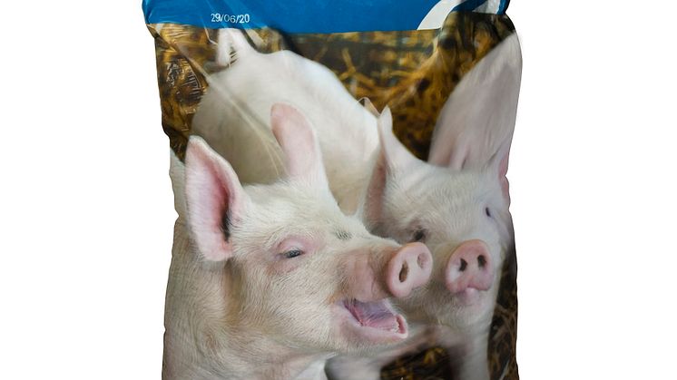 Produktsæk med ViloPiglet HeatPeat Iron