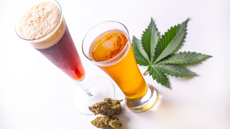 "Kein Alkohol, wenn Cannabis konsumiert wird"