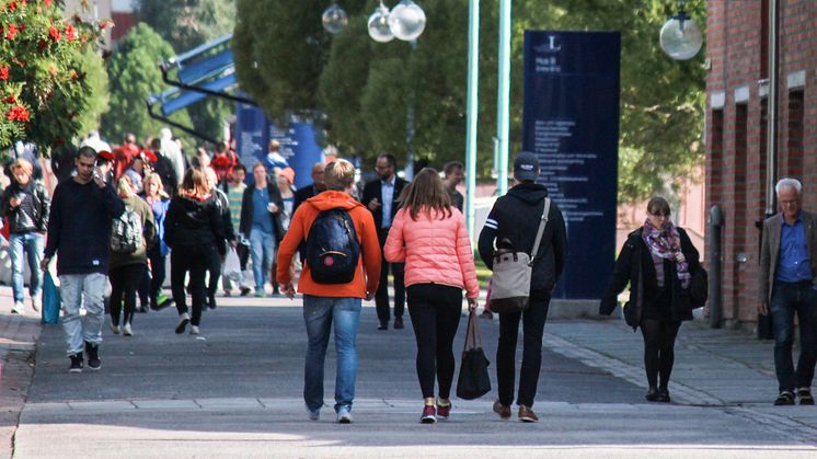 Nyheter på universitetets webb i sommar
