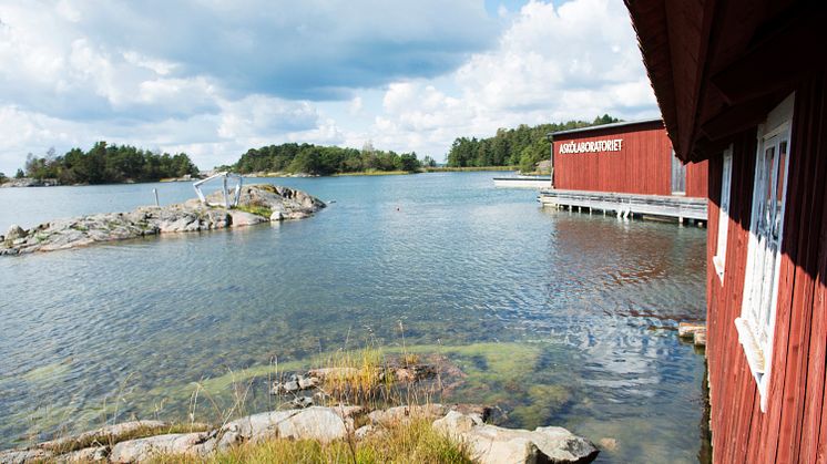 Askölaboratoriet i Trosa skärgård hör till Stockholms universitets Östersjöcentrum och är ett centrum för marin forskning. Här bedriver forskare från Sverige och hela världen olika vetenskapliga studier om havet. Foto: Anna-Karin Landin