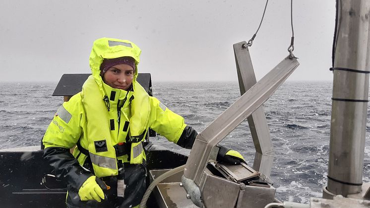 grabb og rådgiver