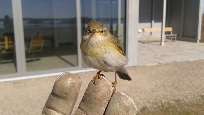 Naturens hus fototävling avgjord