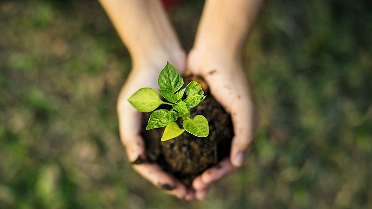 CDP:s årliga process anses vara guldstandarden för företagens miljötransparens eftersom den mäter åtgärder och prestationer för att mildra klimatrelaterade risker och för att minska utsläppen av växthusgaser.